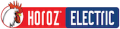 Horoz Electric